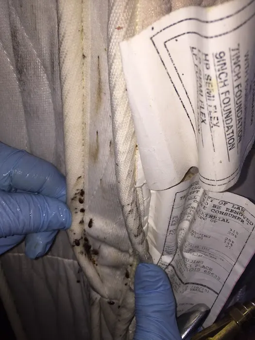 Ridders Pest Control Picture 1