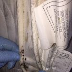 Ridders Pest Control