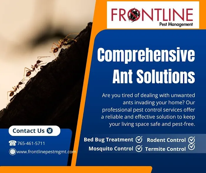 Frontline Pest Management Picture 6
