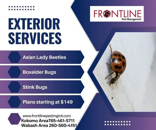 Frontline Pest Management Picture 5