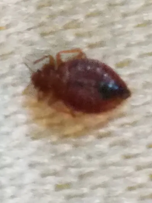 Frontline Pest Management Picture 1