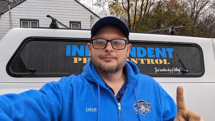 Independent Pest Control Picture 1