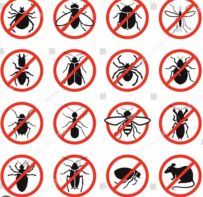 Independent Pest Control Picture 2