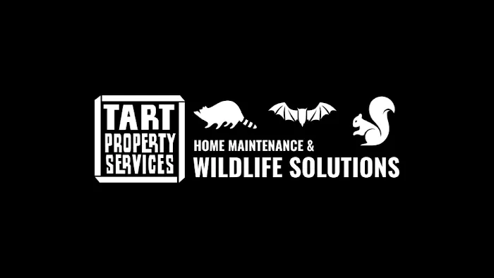 Tart Property Services Picture 1