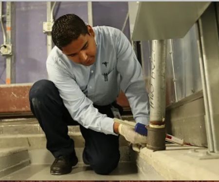 Smithereen Pest Management Services