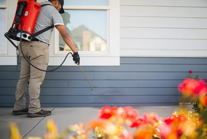 Greenix Pest Control Picture 8