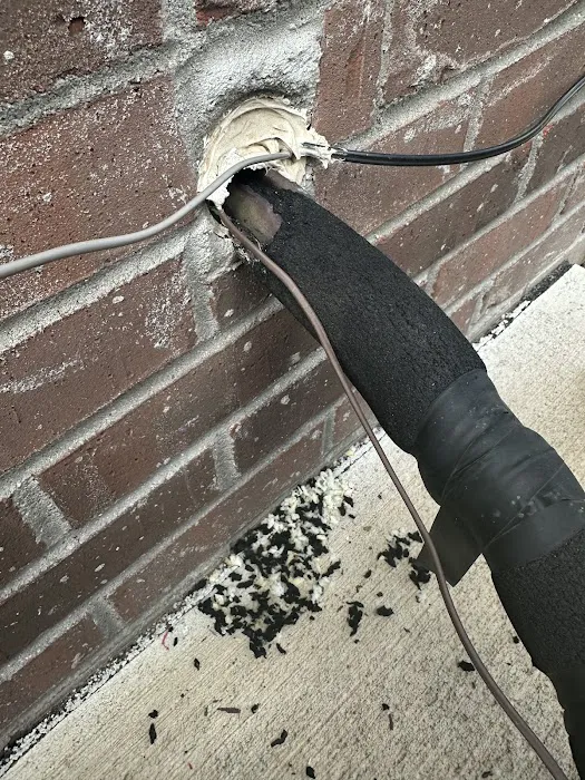 Greenix Pest Control Picture 3