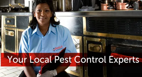 Presto-X Pest Control Picture 5