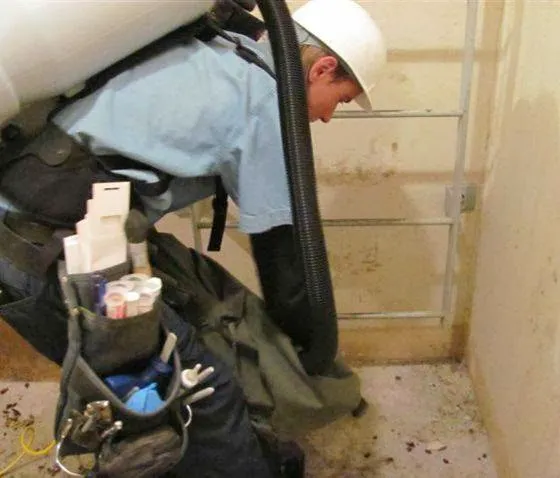 McCloud Services Picture 2