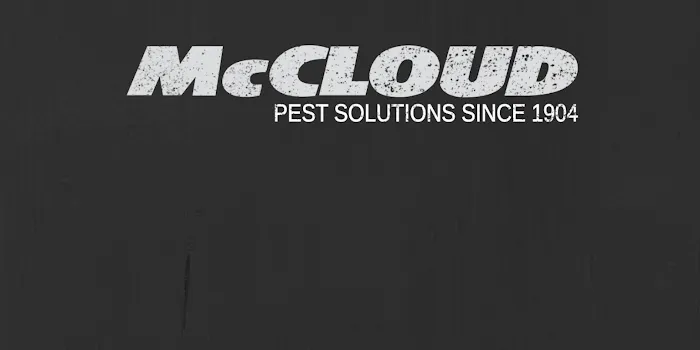 McCloud Services Picture 3