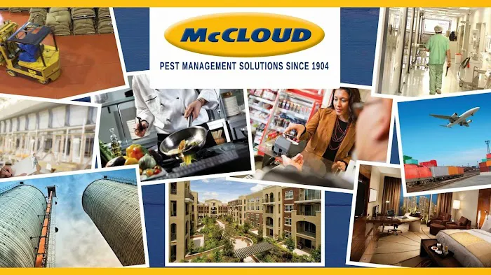 McCloud Services Picture 1