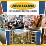 McCloud Services