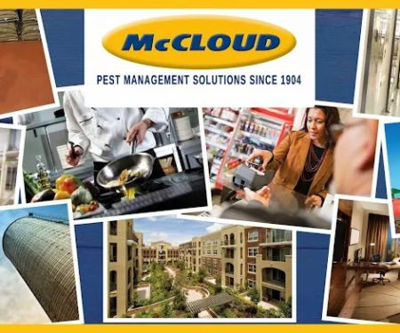McCloud Services