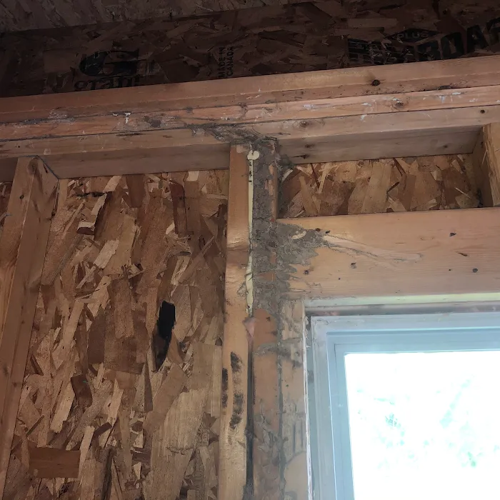 Speedway Termite & Pest Control Picture 2
