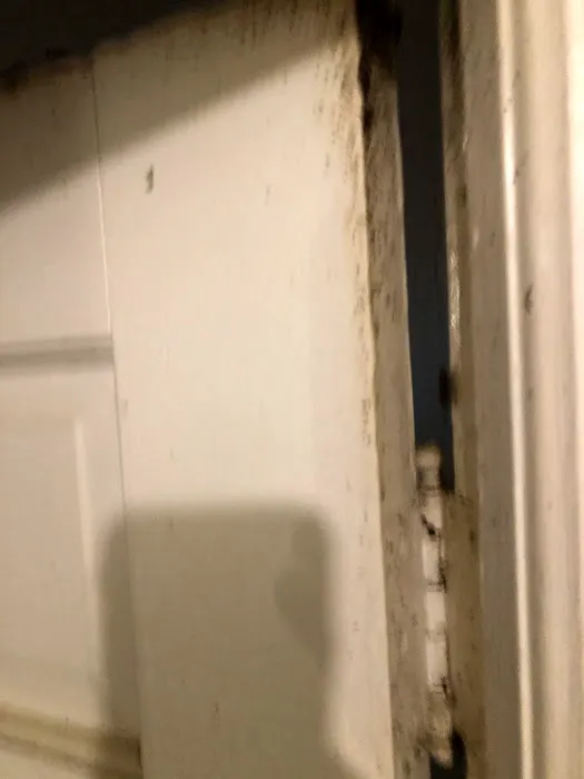 Speedway Termite & Pest Control Picture 1