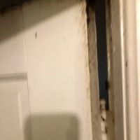 Speedway Termite & Pest Control ico