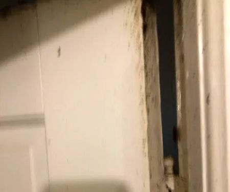 Speedway Termite & Pest Control