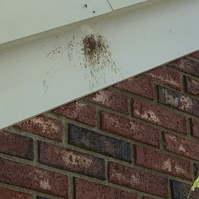 Speedway Termite & Pest Control Picture 5