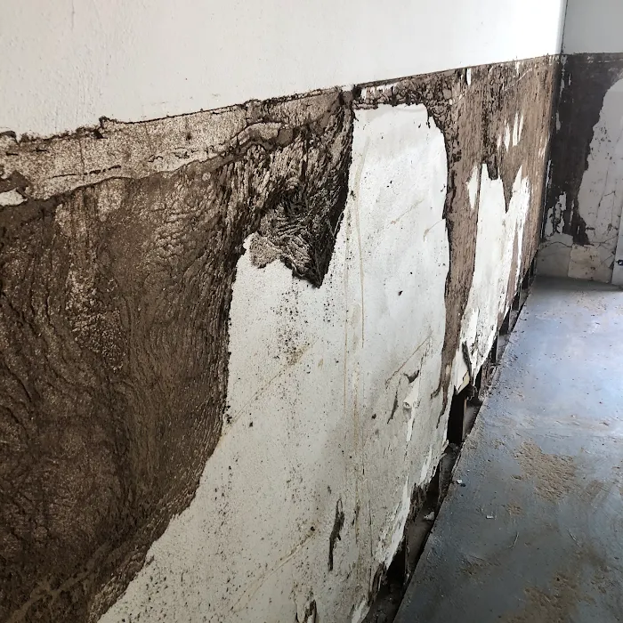 Speedway Termite & Pest Control Picture 9