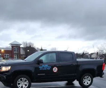 Allied first pest control