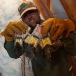 Indianapolis Rodent Exterminator