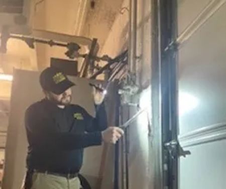 Pointe Pest Control