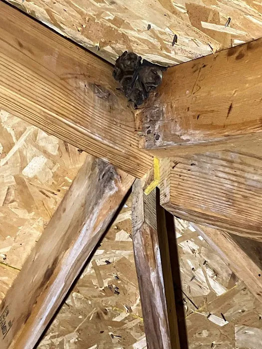 Critter Control Picture 9
