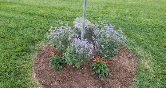 Morin's Landscaping Picture 7