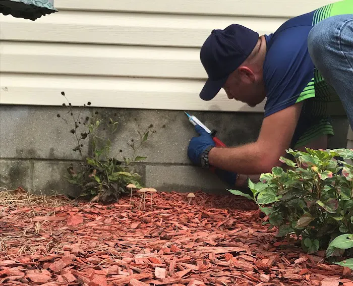 Greener Pest Management Picture 6