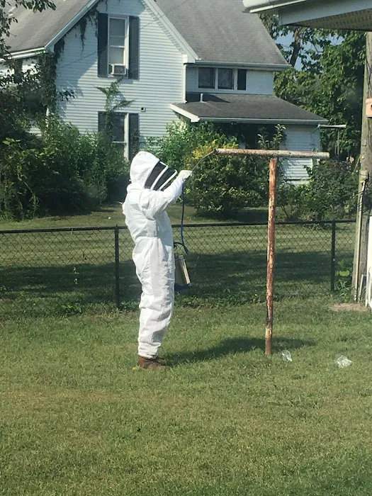 Greener Pest Management Picture 9
