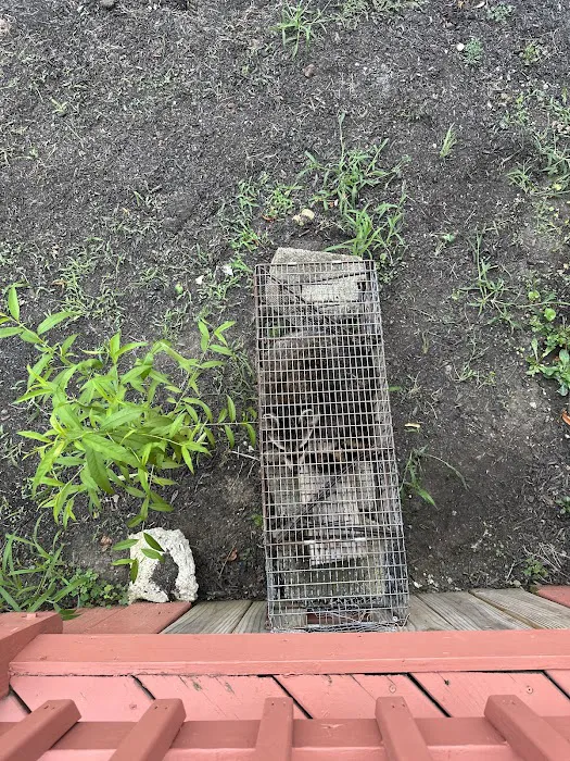 Evict A Pest Wildlife and Pest Control Picture 8