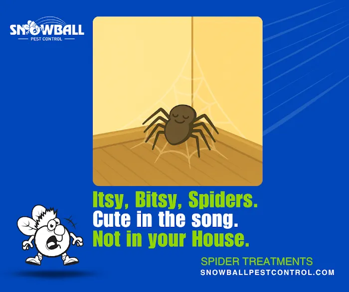 Snowball Pest Control Picture 4