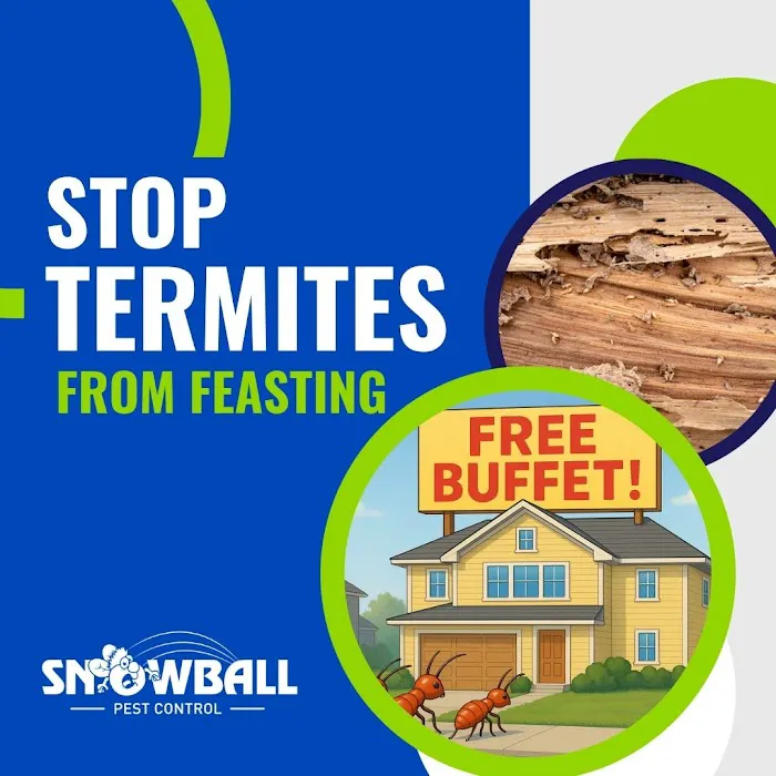 Snowball Pest Control Picture 1