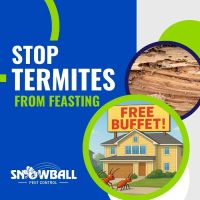 Snowball Pest Control ico