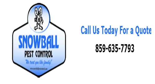 Snowball Pest Control Picture 2
