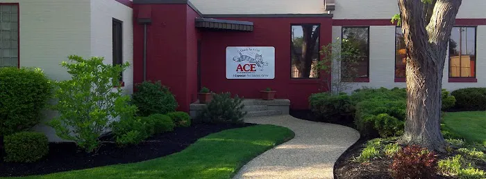 Ace Exterminating Picture 1