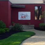 Ace Exterminating