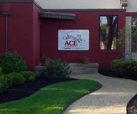 Ace Exterminating