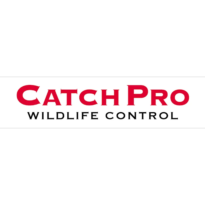 CatchPro Nuisance Wildlife Control Picture 2