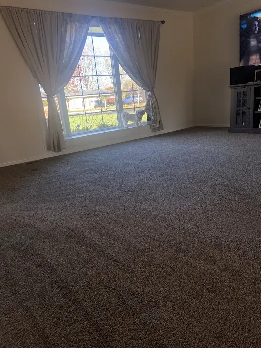 Paramount Restoration Picture 2