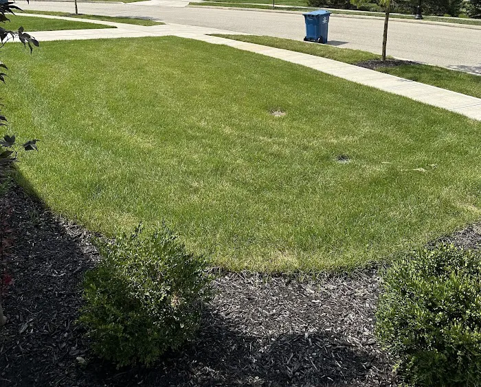 Kapp's Green Lawn Picture 7