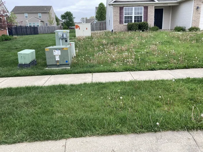Kapp's Green Lawn Picture 9