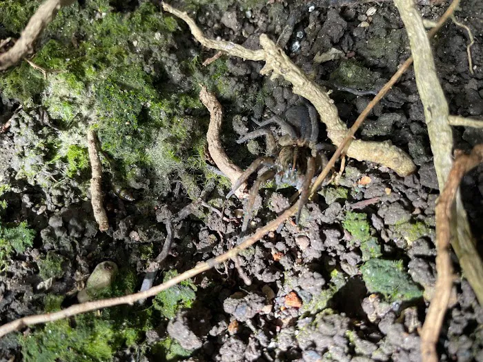 Happy Hive Pest Management Picture 8