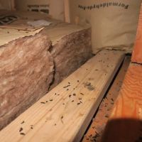 Get Bats Out Fort Wayne ico