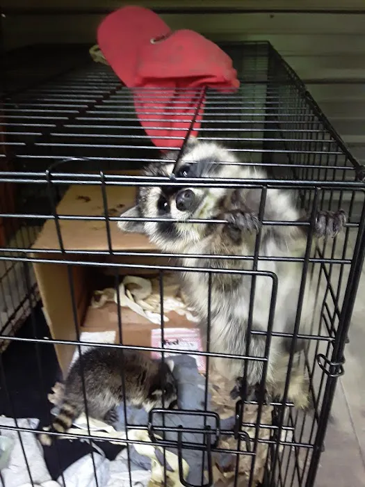 Critter Control of North Central Indiana Picture 5