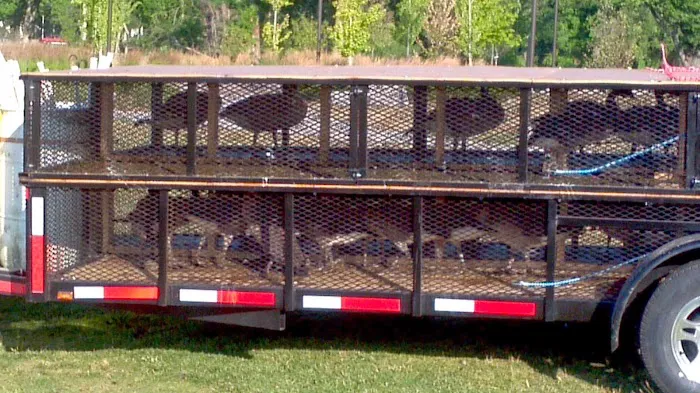 Critter Control of North Central Indiana Picture 10