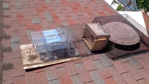 Critter Control of North Central Indiana Picture 4