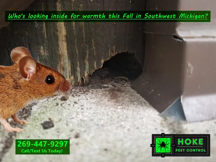 Hoke Pest Control Picture 10