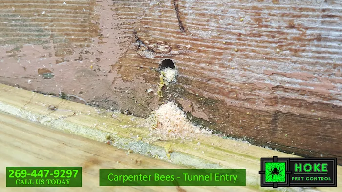 Hoke Pest Control Picture 1