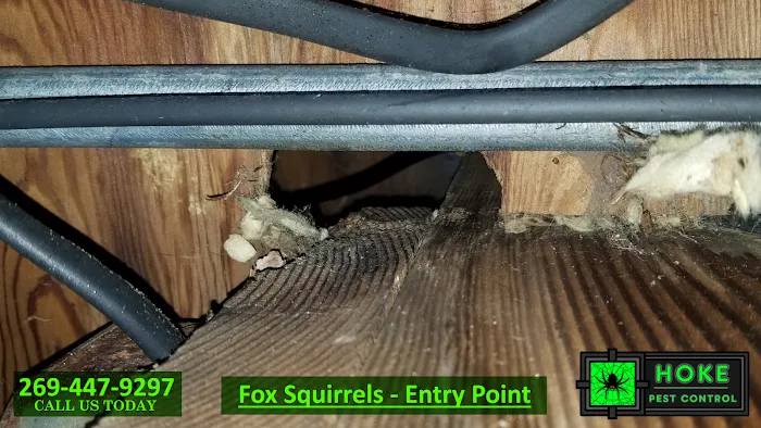 Hoke Pest Control Picture 6